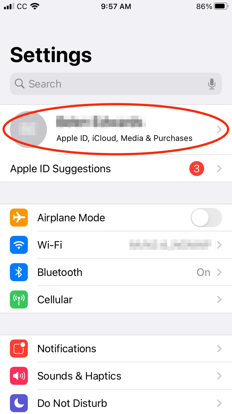 Settings%20-%20Apple%20Profile_15203