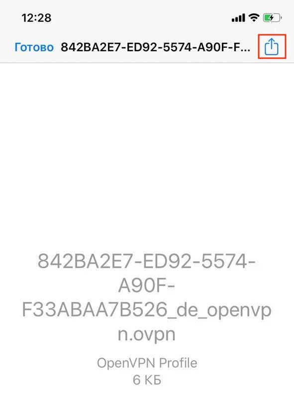 3-ios-openvpn-ru_7675