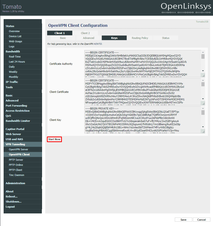 Establish VPN connection on your Asus Tomato router by clicking Start Now
